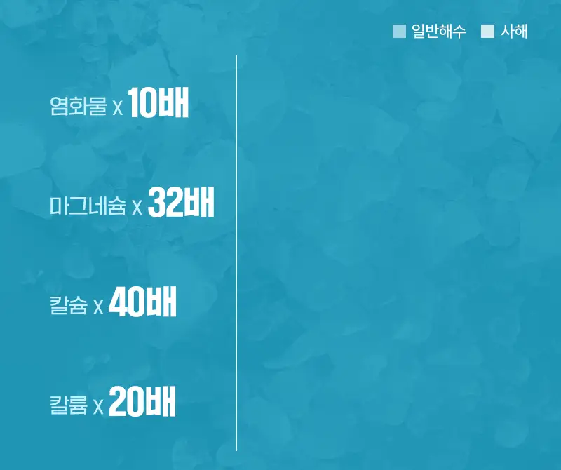 [서애쿠PICK/이탈리아1등] 지오마 사해소금 바디스크럽 600g 6종 상세페이지 12